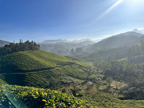Munnar Valley Trekking & Tours-慕那尔必去景点