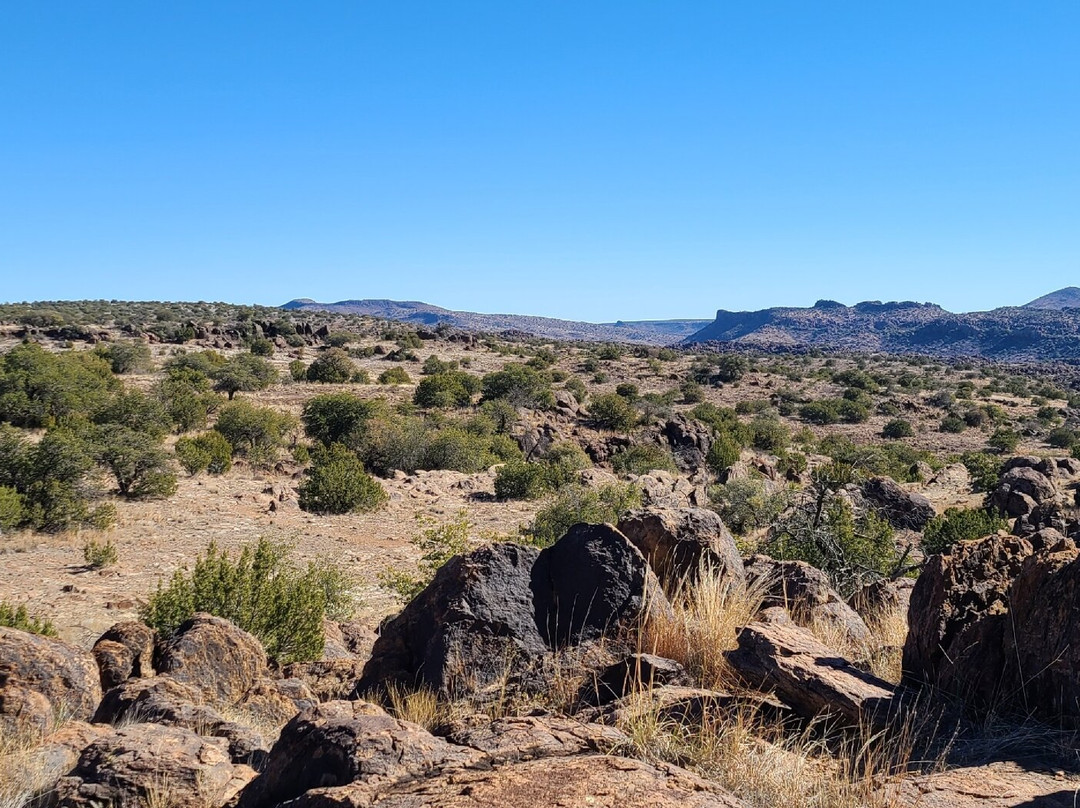 Chihuahuan Desert Nature Center & Botanical Gardens-Fort Davis必去景点