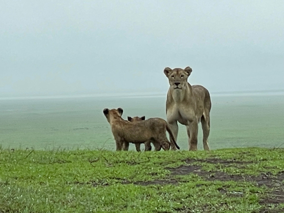 Urth Expedition-阿鲁沙必去景点
