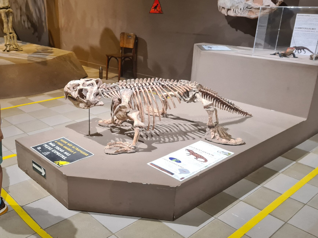 Museu de Ciências Naturais PUC Minas-贝洛哈里桑塔必去景点