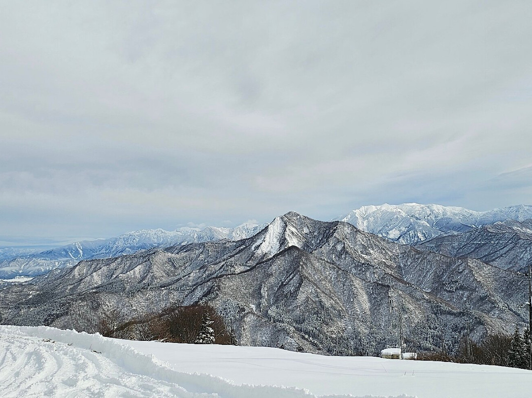 Yuzawa Kogen景点图片