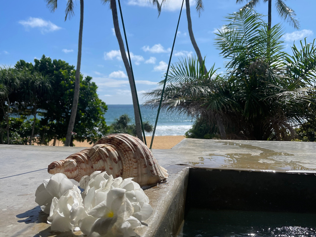 阿迪亚精品酒店主图