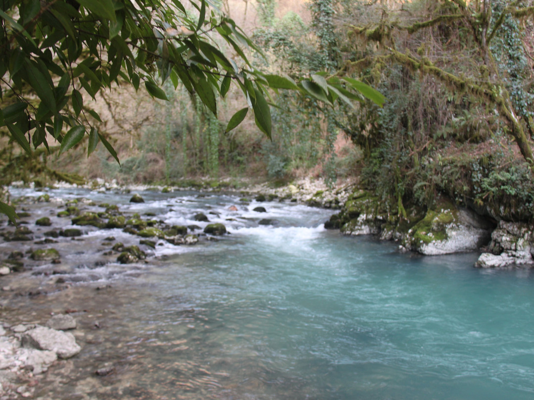 Trout Farm Chernorechenskoye-Gudaut'a必去景点