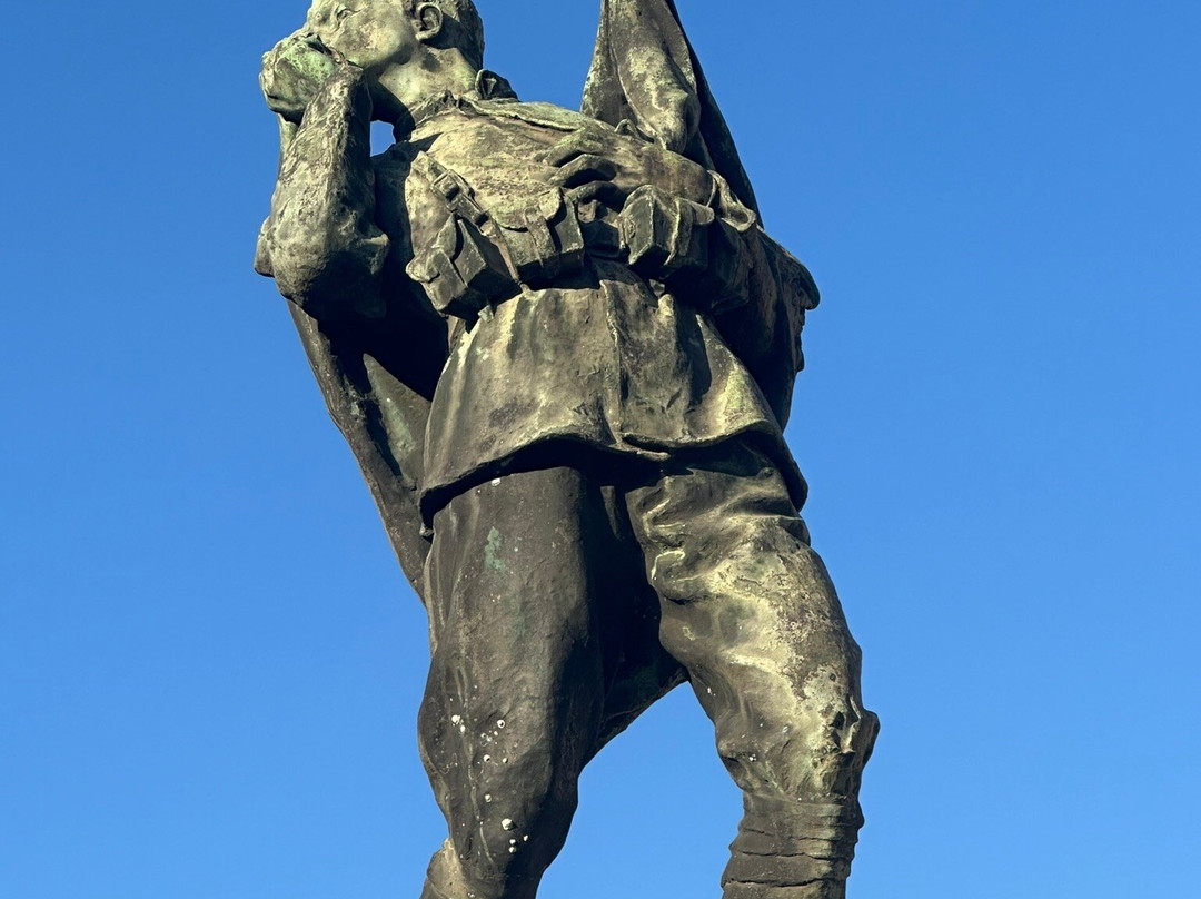 Monumento ai Caduti景点图片
