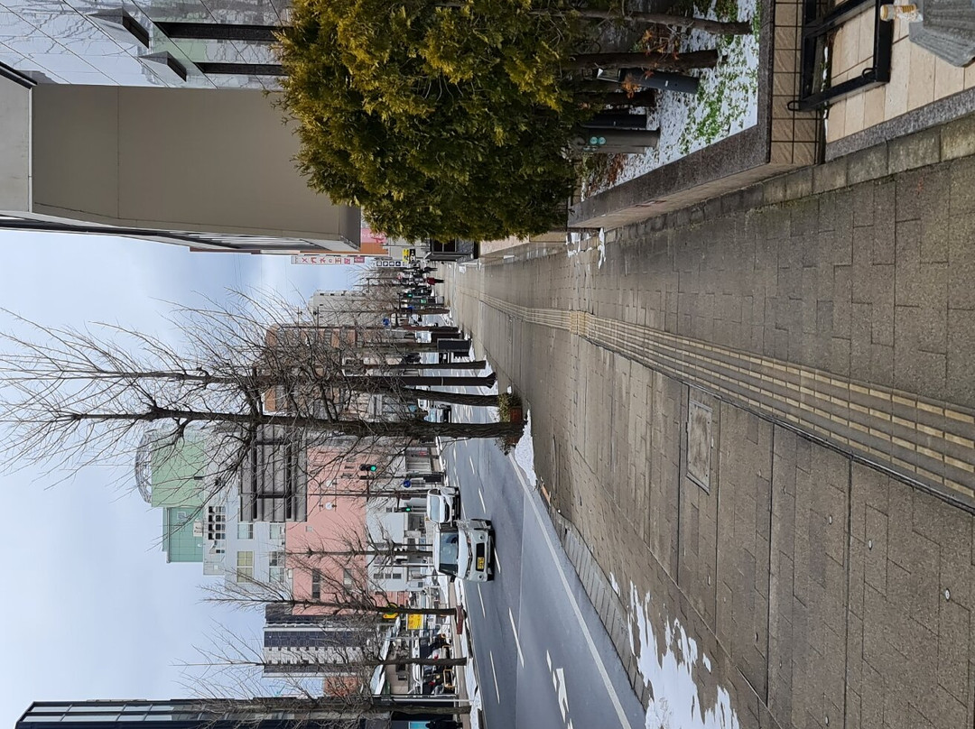 秋田站前里士满酒店主图