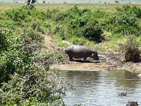 Kenya & Tanzania Safari-Usa River必去景点