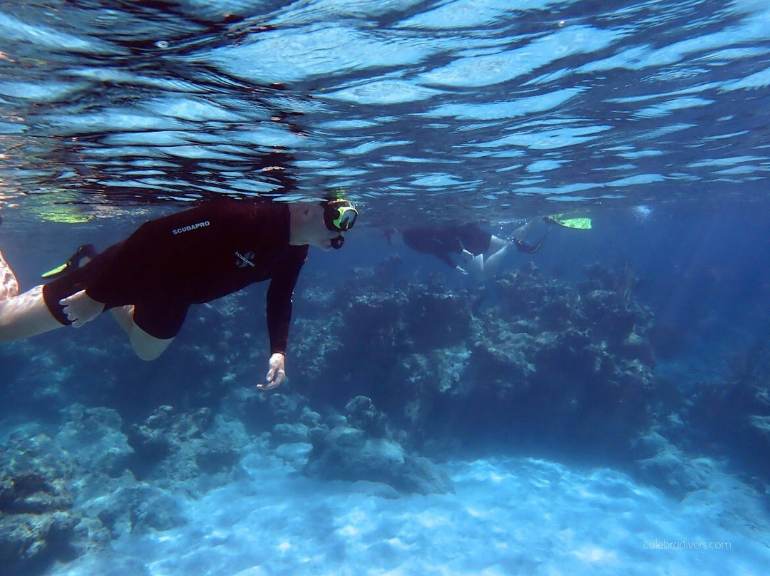 Culebra Divers-库莱布拉岛必去景点