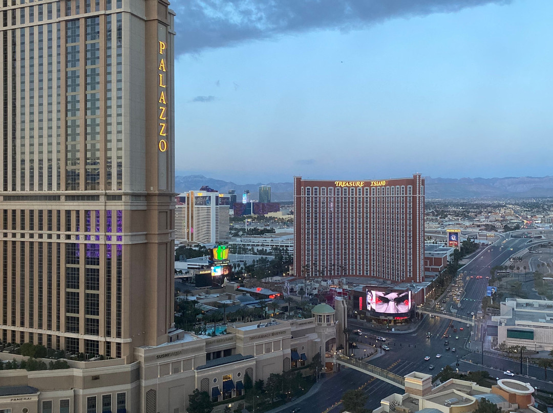 拉斯维加斯永利酒店主图