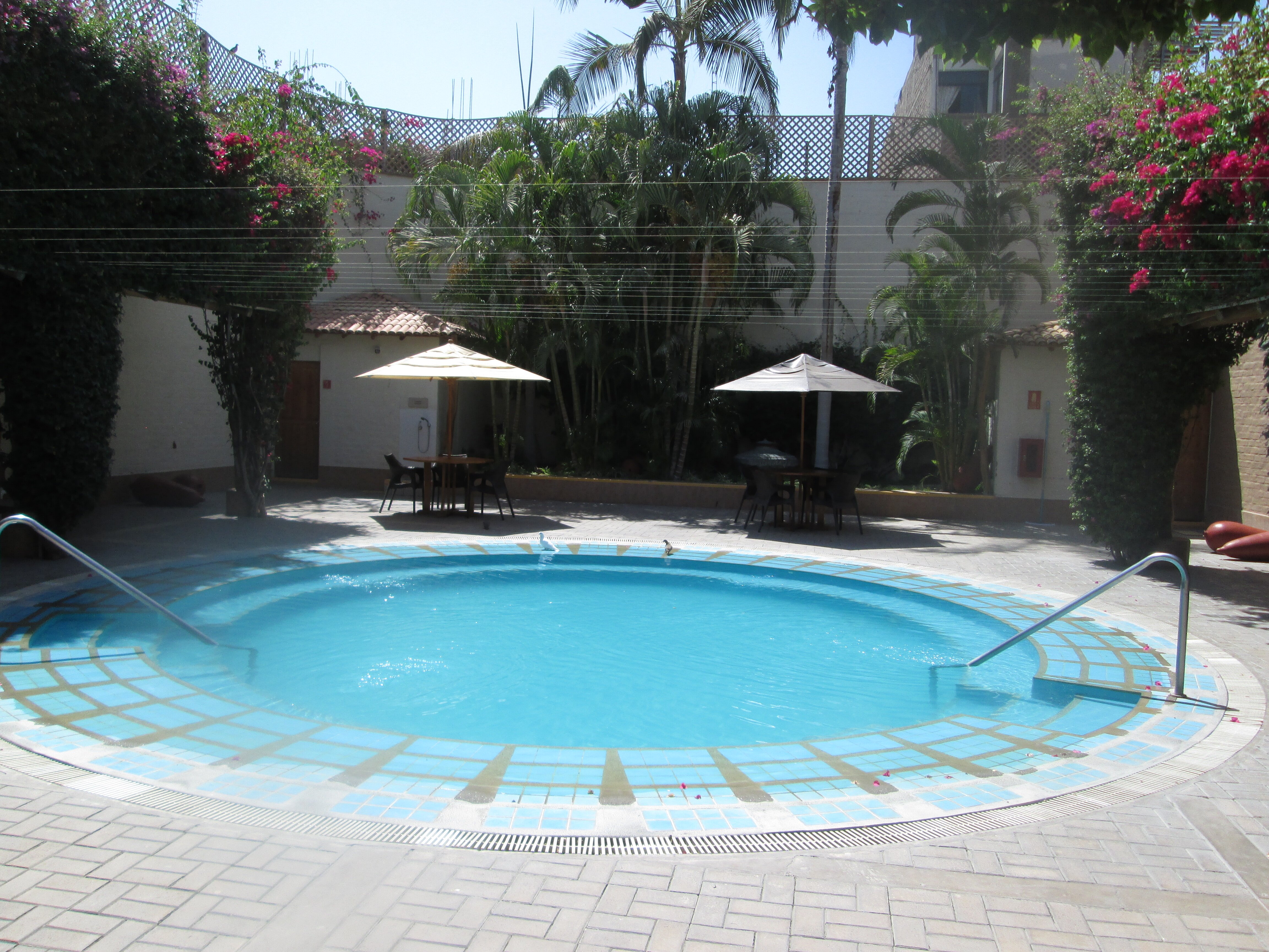 Casa Andina Standard Nasca-泳池
