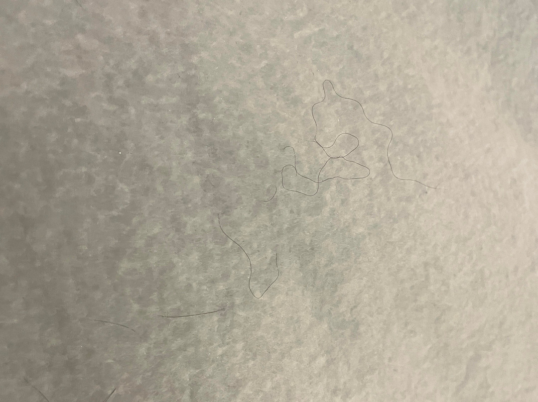 Red Roof Inn Binghamton North主图