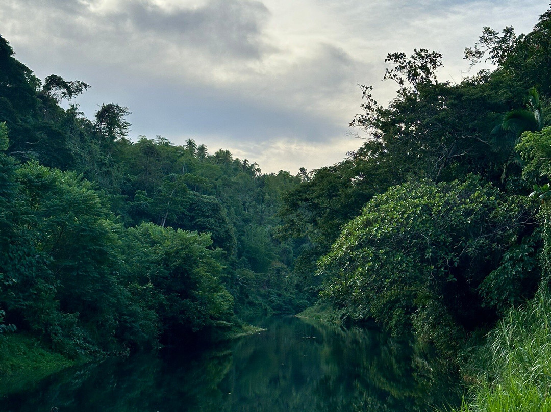 Kawasan Falls Bohol景点图片