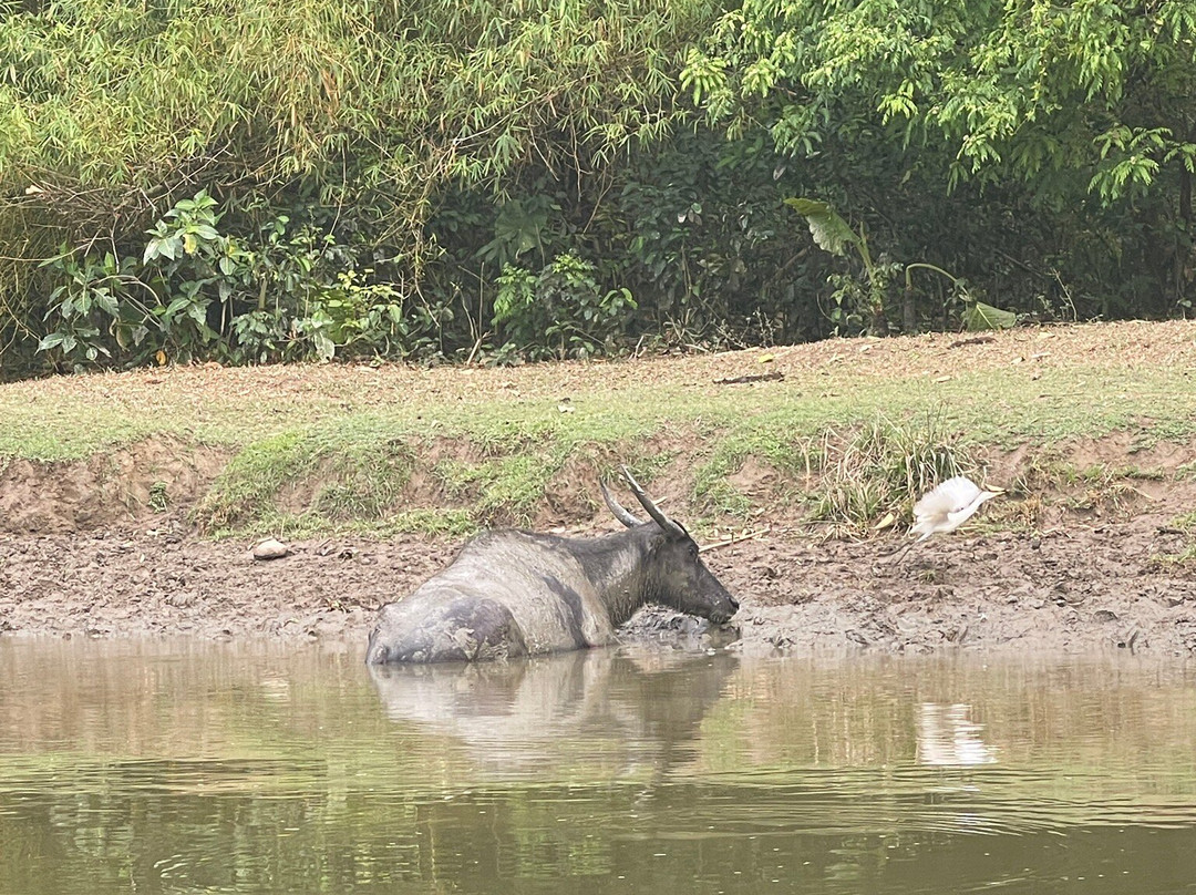 Kawa Kawa River景点图片