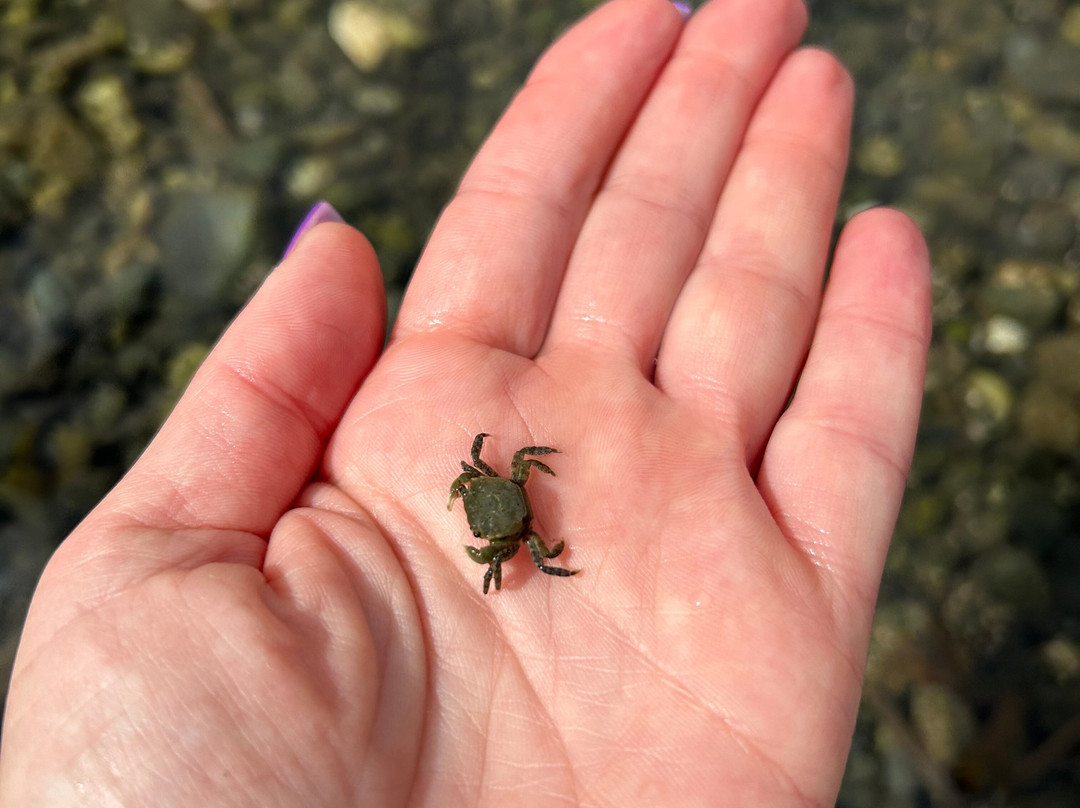 Maffeo Sutton Park-纳奈莫必去景点