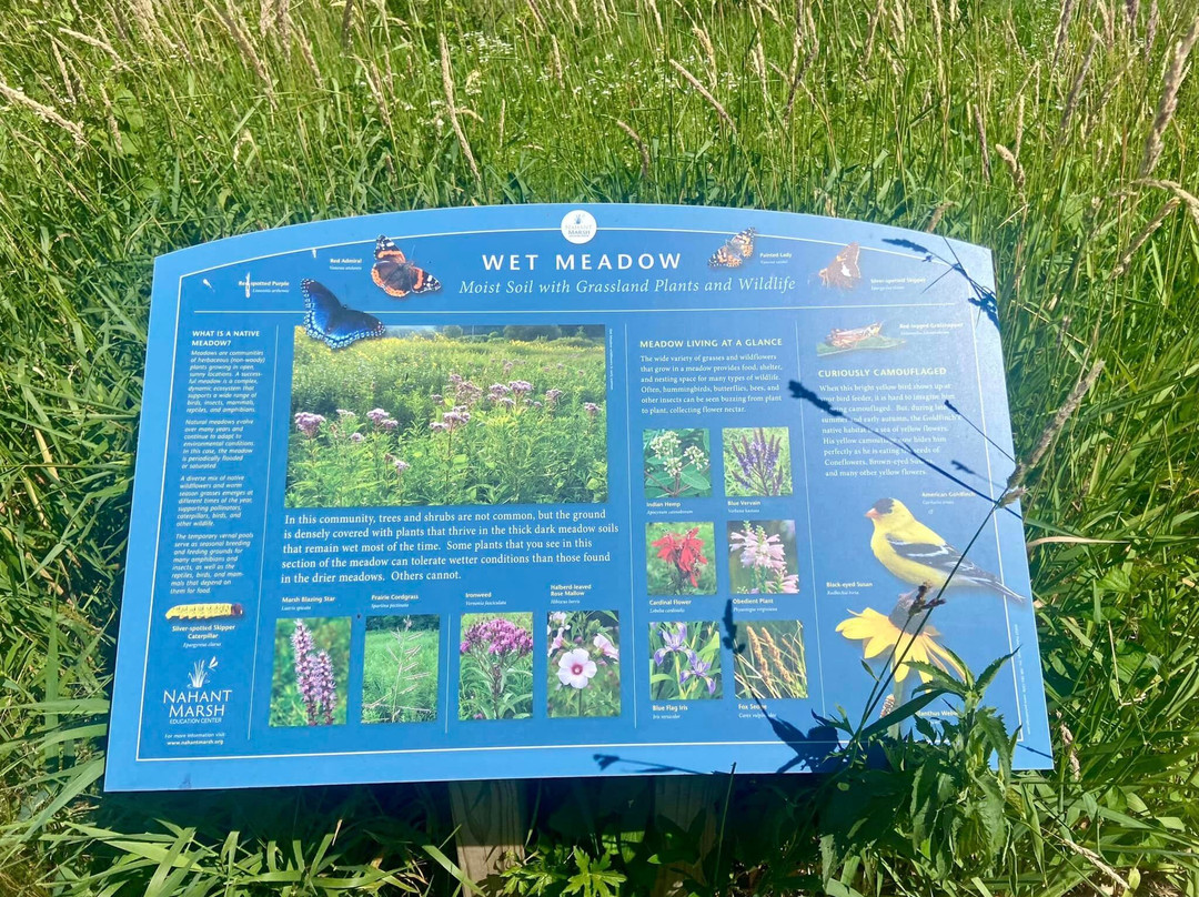 Nahant Marsh Education Center-达文波特必去景点