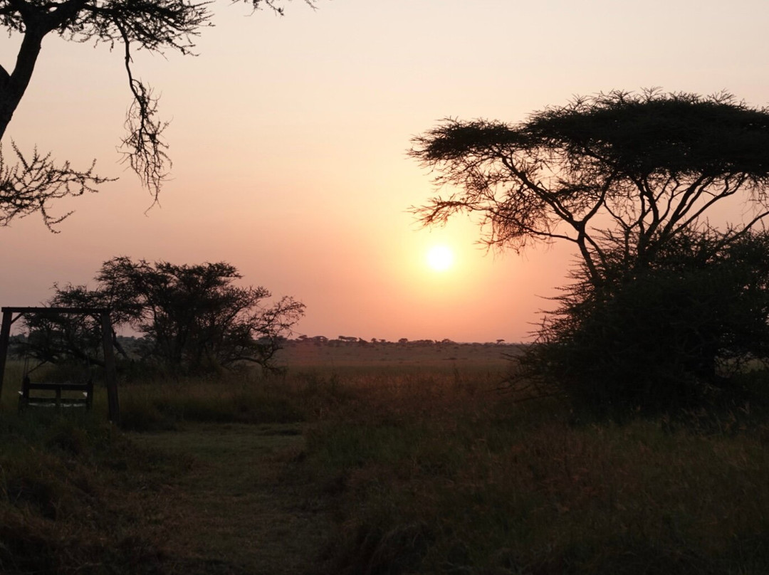 Tanzania Juvenile Safaris-阿鲁沙必去景点