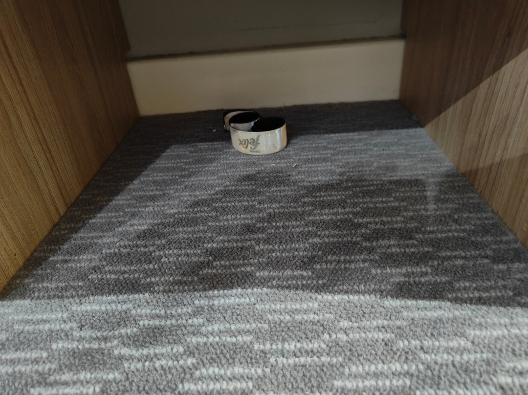 快捷假日伦敦斯坦斯特德酒店主图