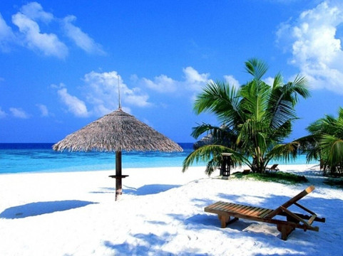 Sri Lanka Tours Private Tour Driver | Idyllic Drive