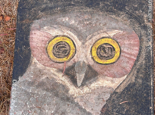 Myall Park Botanic Garden-Glenmorgan必去景点