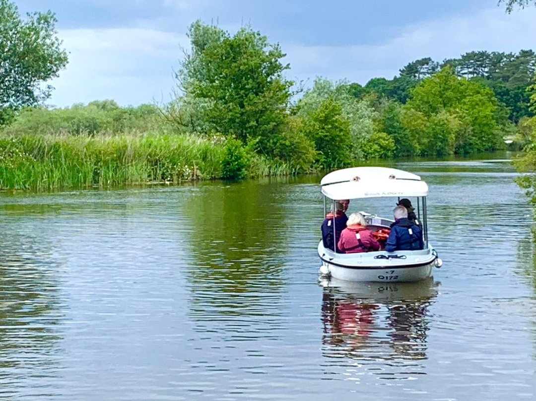 Electric Eel Boat Trip景点图片