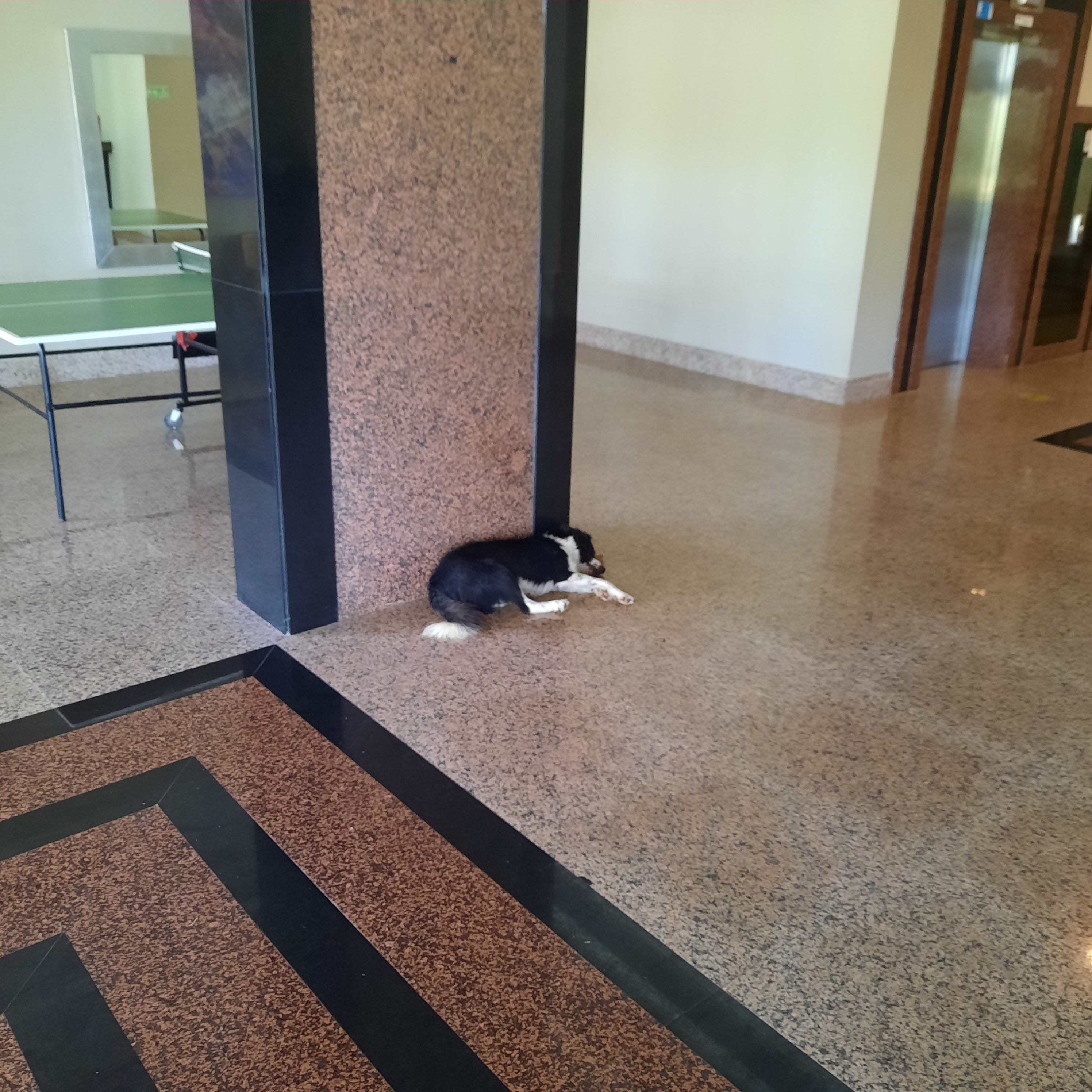 Presa Di Finica Hotel & Suites-浴室