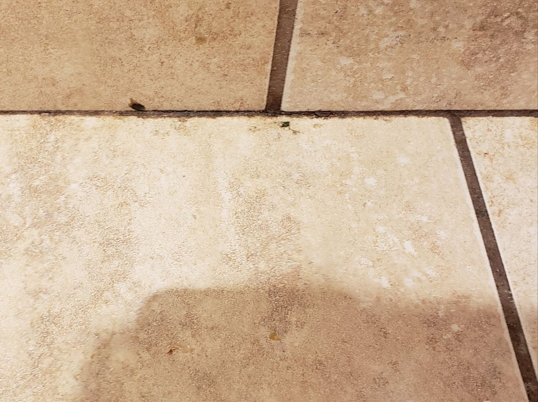 Iron Blosam Lodge主图