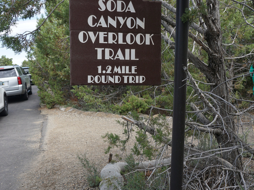 Soda Canyon Overlook Trail-梅萨维德国家公园必去景点