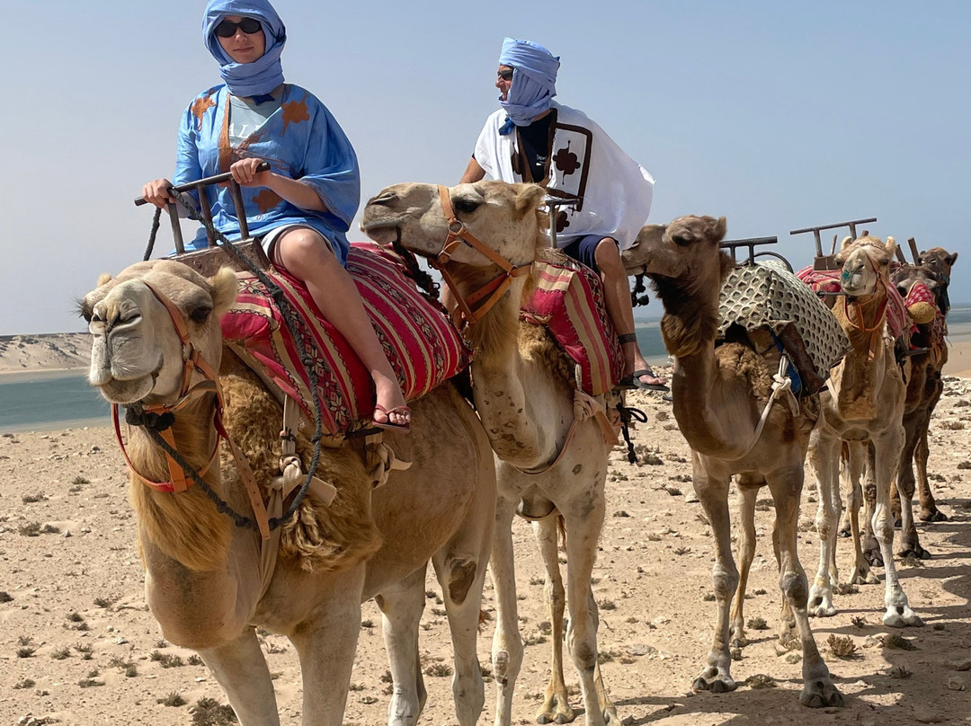DAKHLA RIDE ADVENTURES-达赫拉必去景点