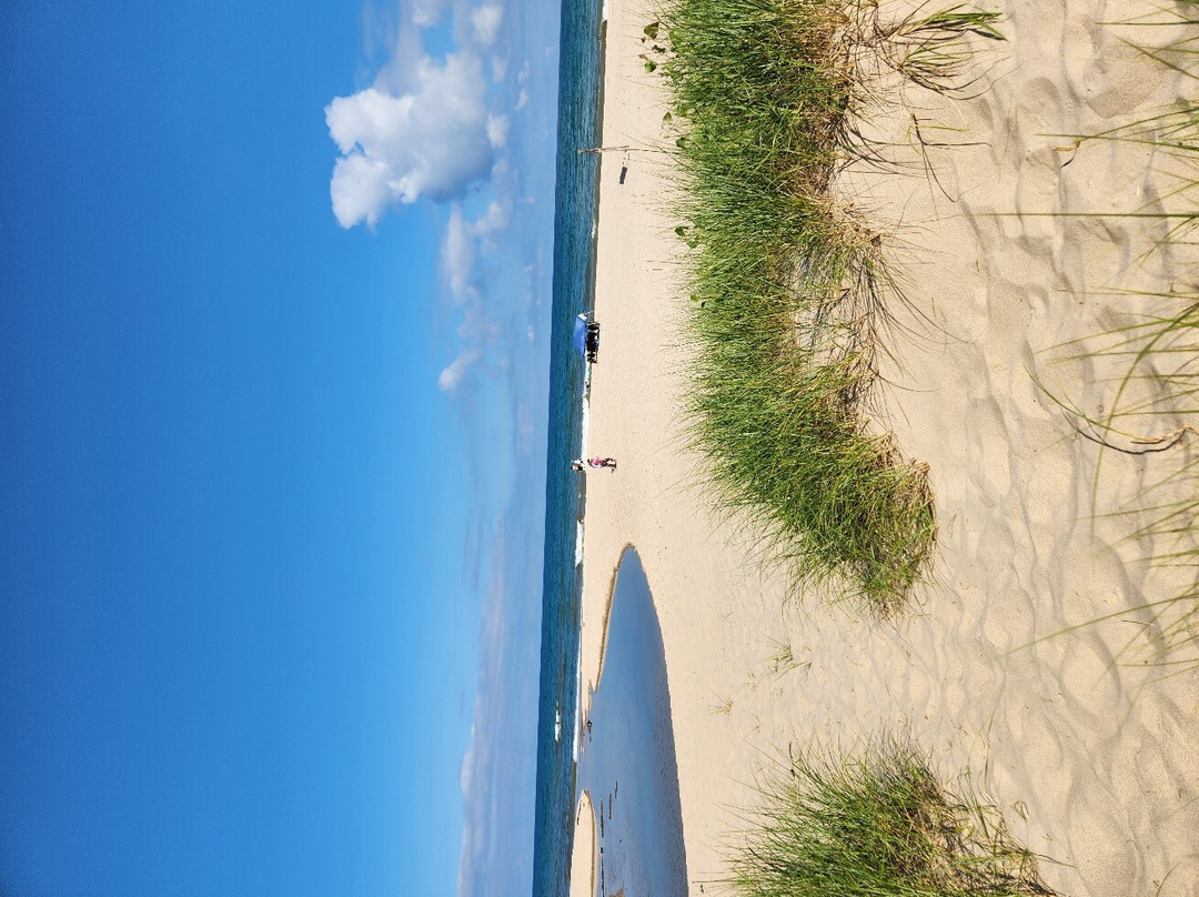 Warren Dunes State Park-Bridgman必去景点