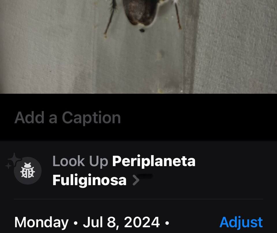 Red Roof Inn & Suites Jacksonville Nc主图