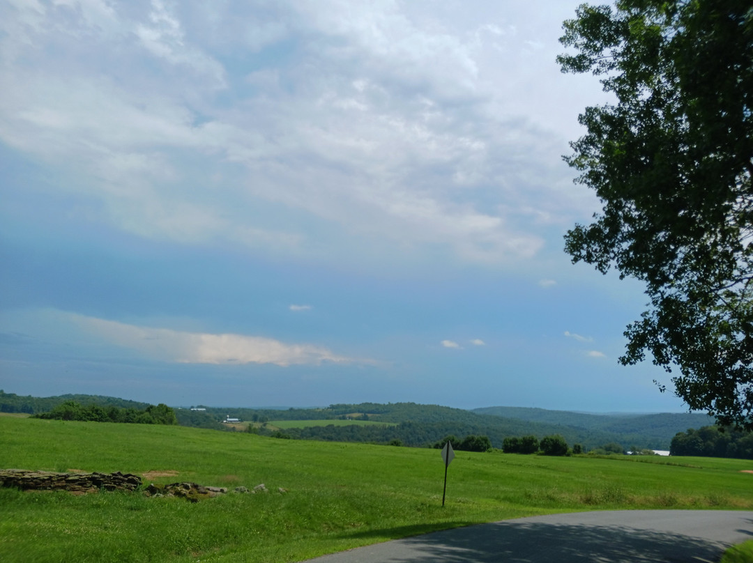 Callicoon Hills主图