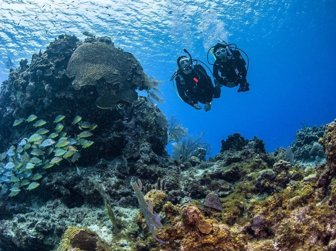 Easy Dive Mauritius-莫纳山必去景点