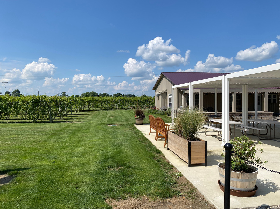 Knotty Vines Winery景点图片