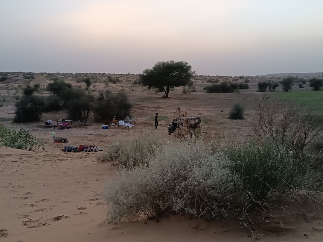 The Pallan Desert Safari