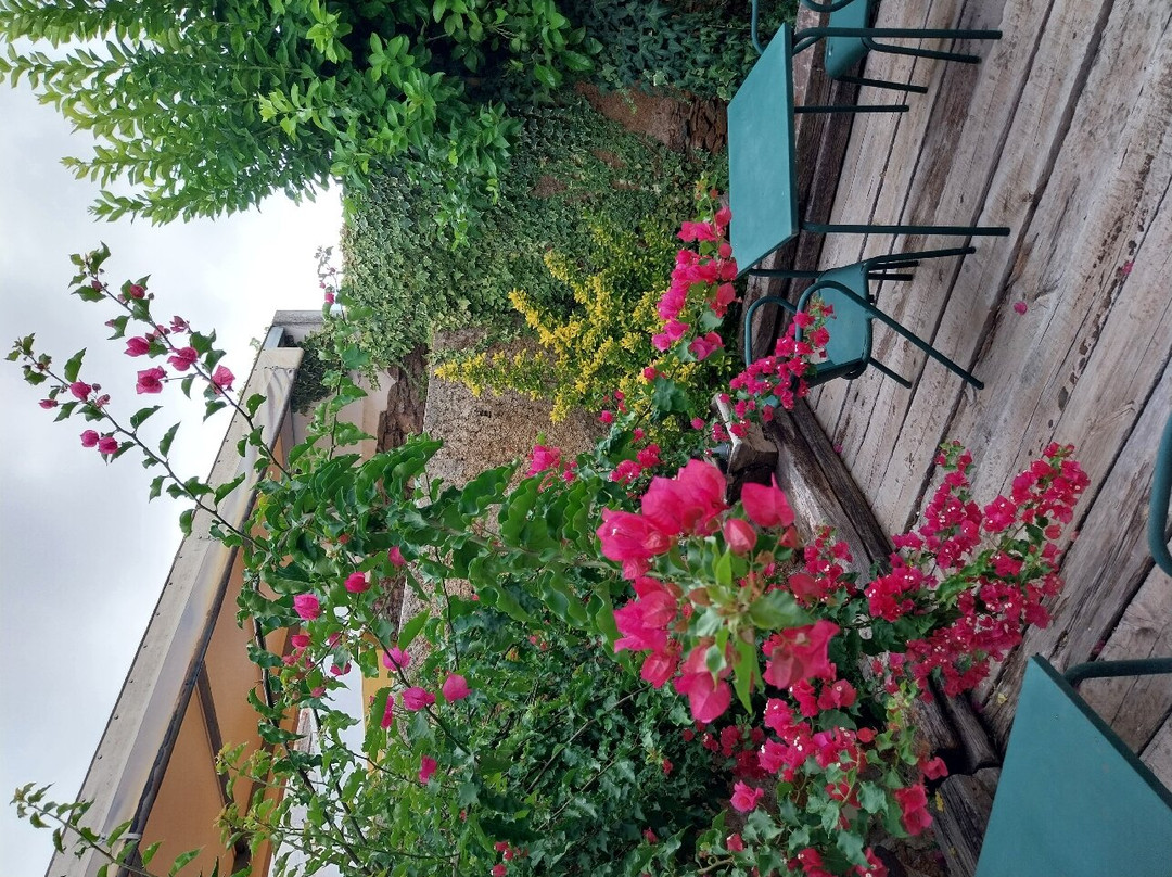 Alandroal Guest House - Solar de Charme主图