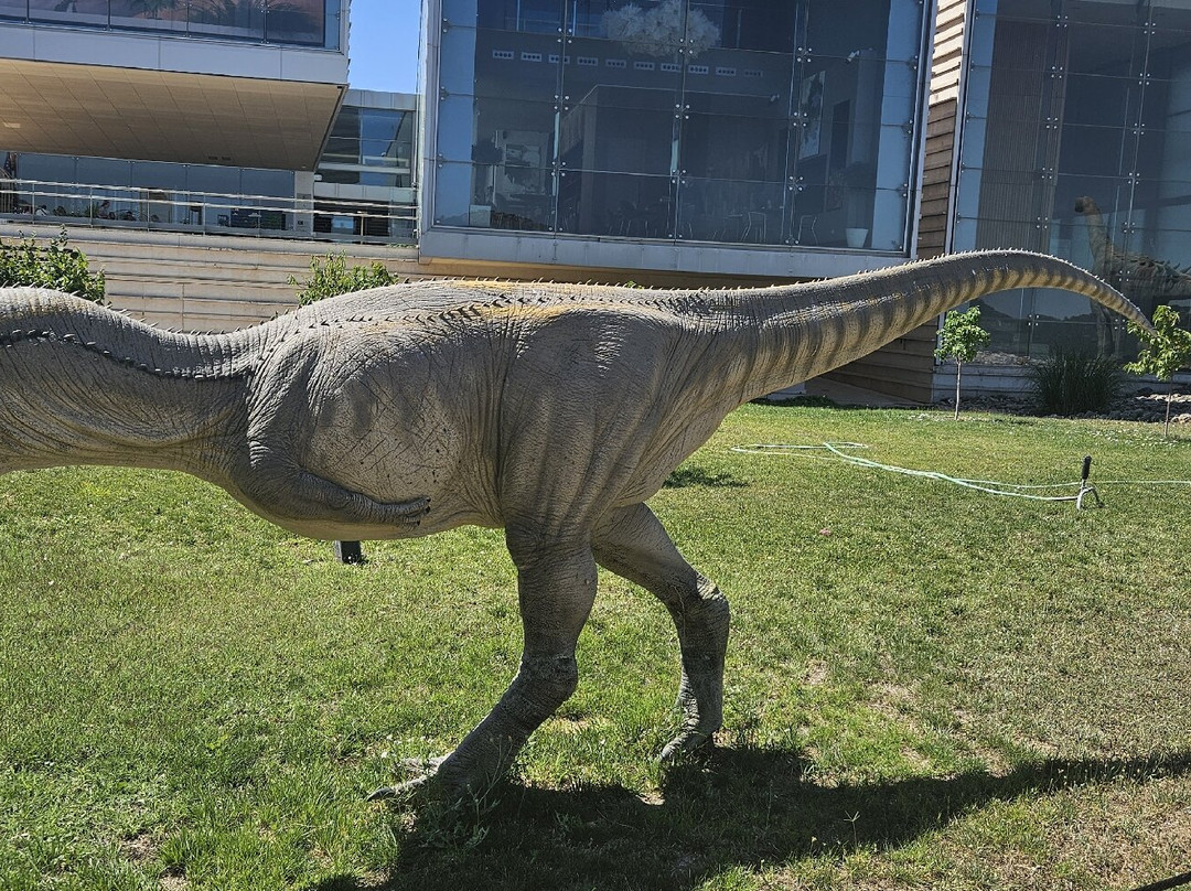 Museo de Paleontologia de Castilla-La Mancha景点图片