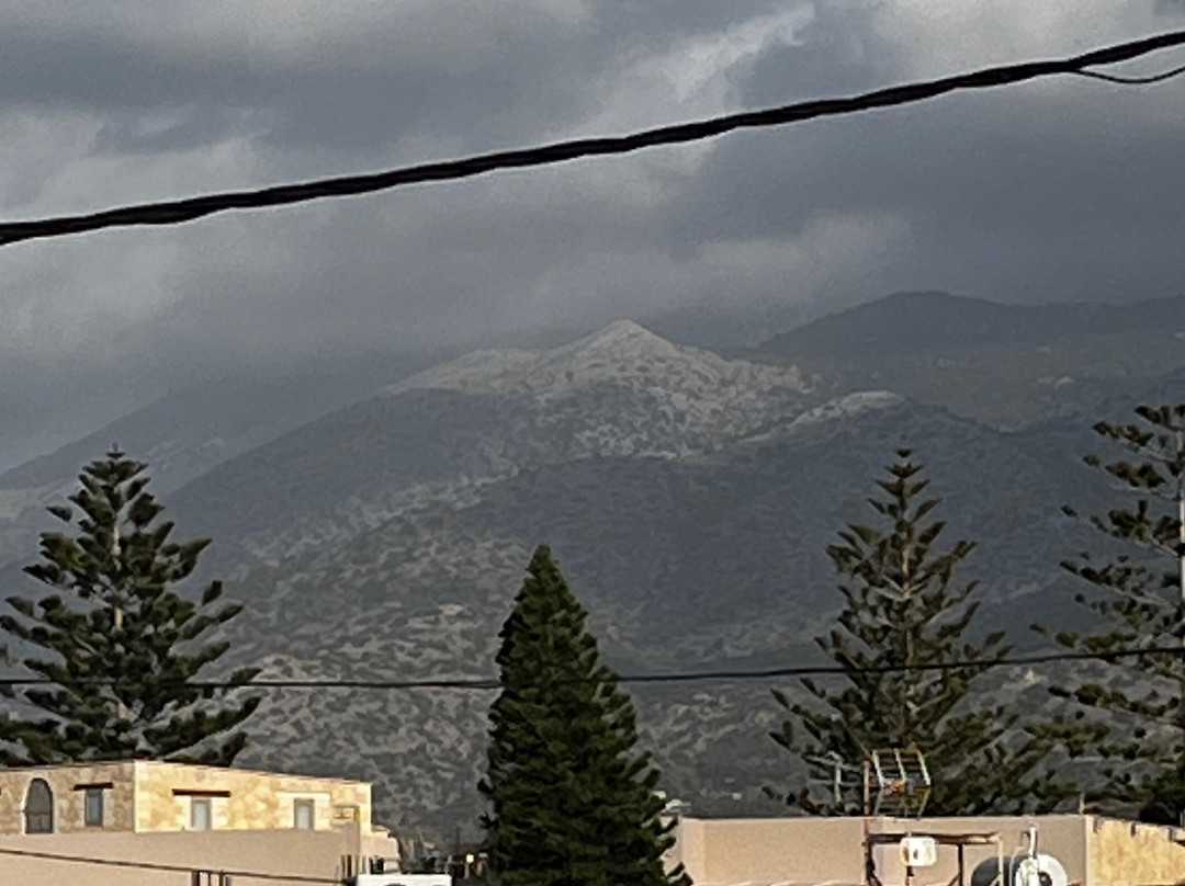 Latania Studios & Apartments主图