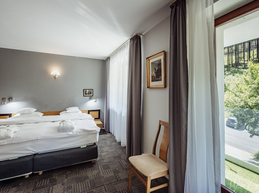 Jelenia Struga Medical Spa主图