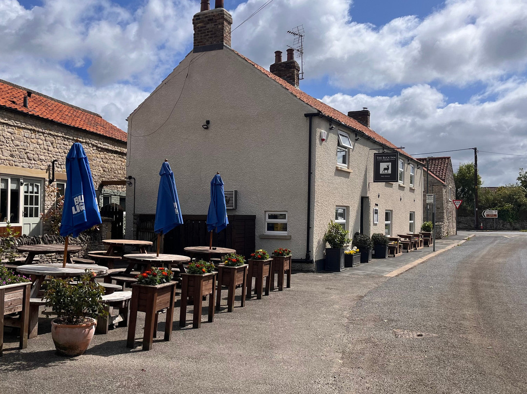 皮克灵餐馆和美食-The Buck Inn at Wrelton