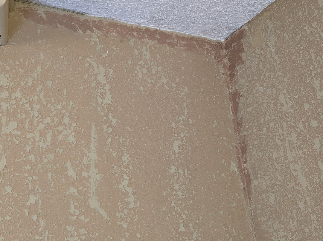 Best Western Branson Inn And Conference Center主图