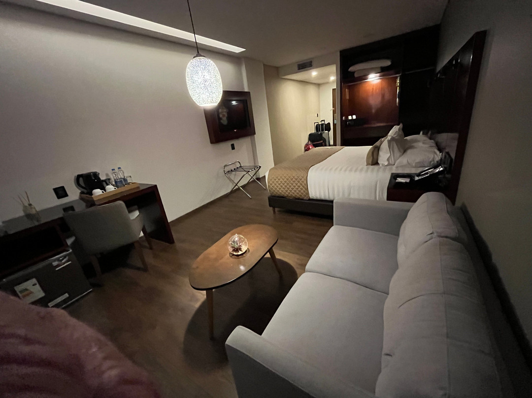 Hotel Mitru Sur主图