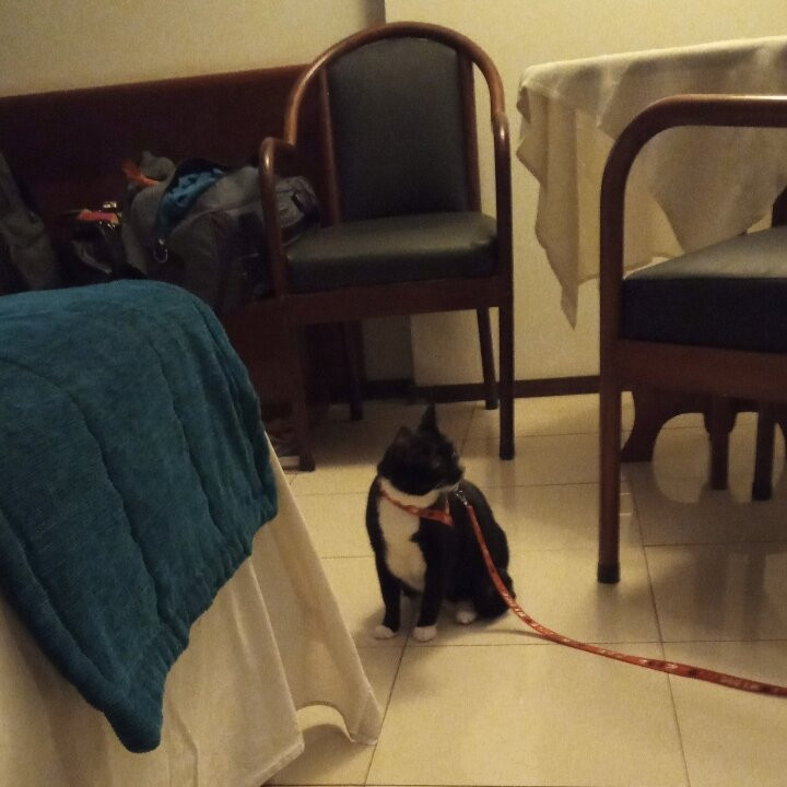 Hotel Posseidon主图