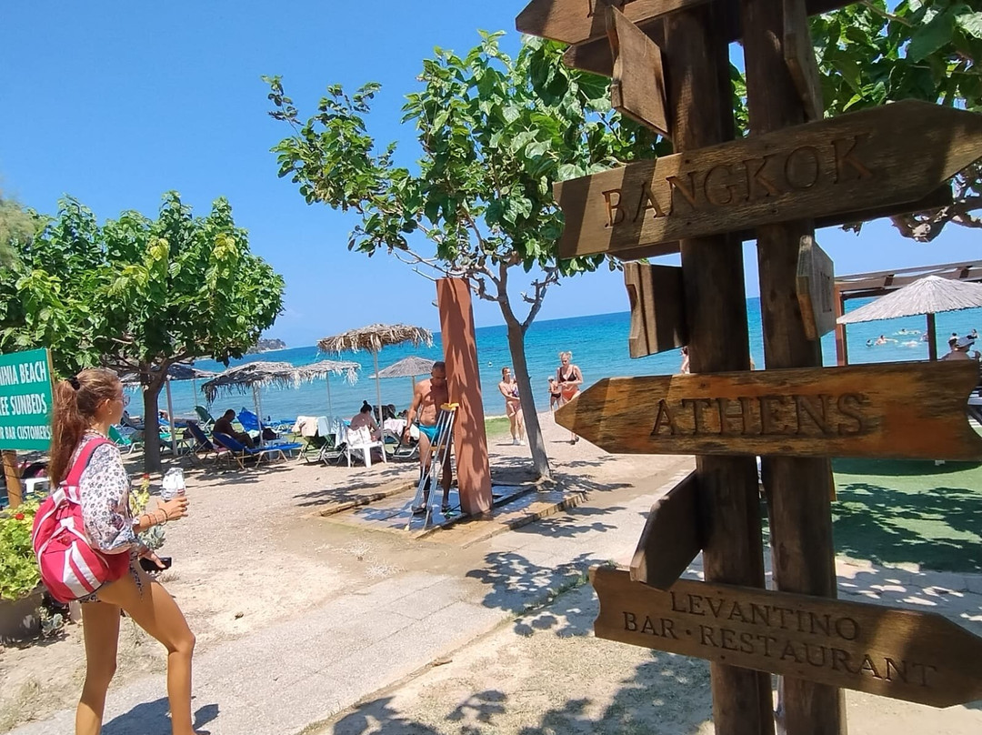 Levantino Studios & Apartments主图