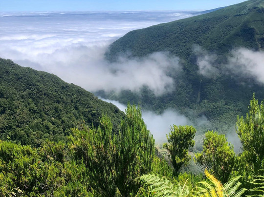 Madeira Discoverers-沙尔必去景点