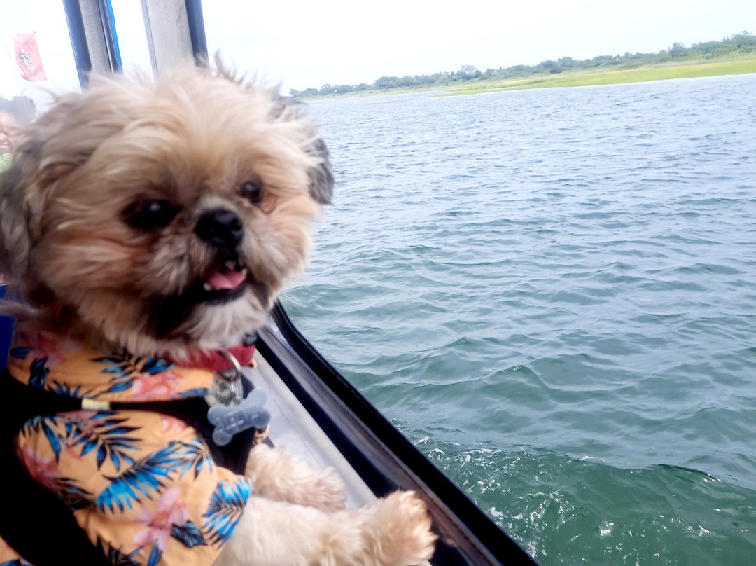 Freeport Water Taxi & Tours-自由港必去景点