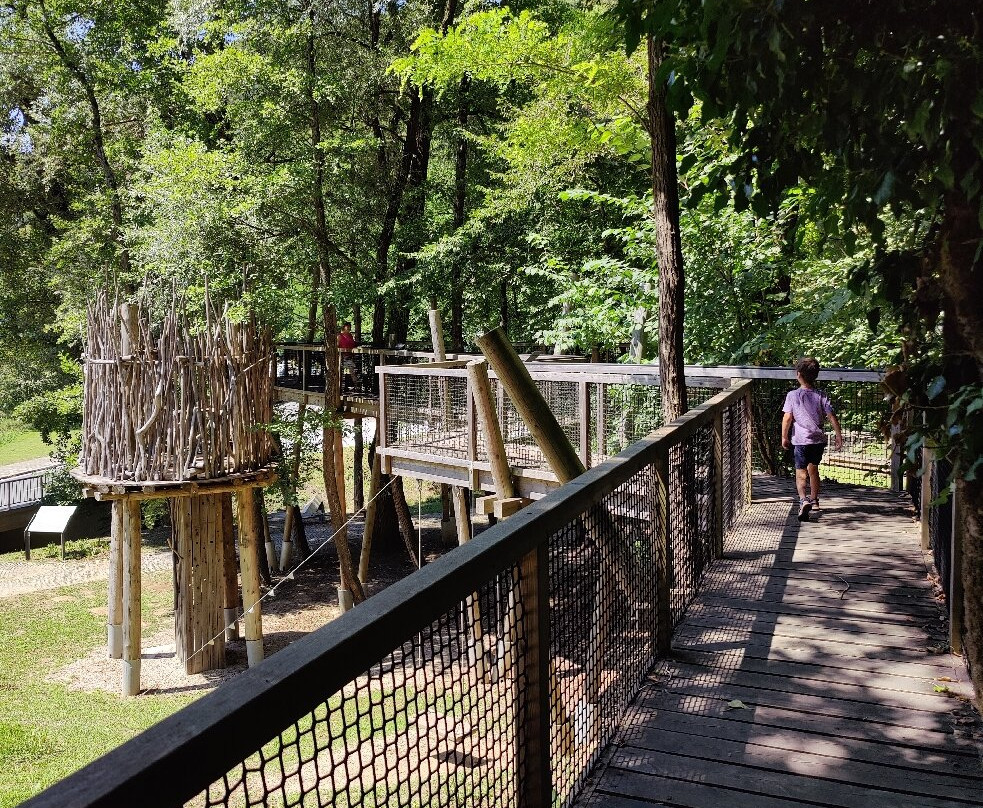 The Path Through The Treetop Zelenjak景点图片