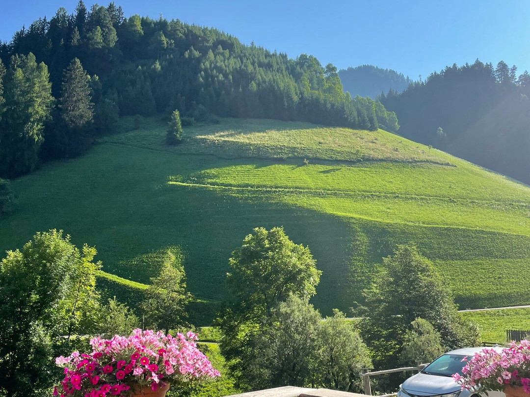 Al Bagn Albergo Gasthof主图