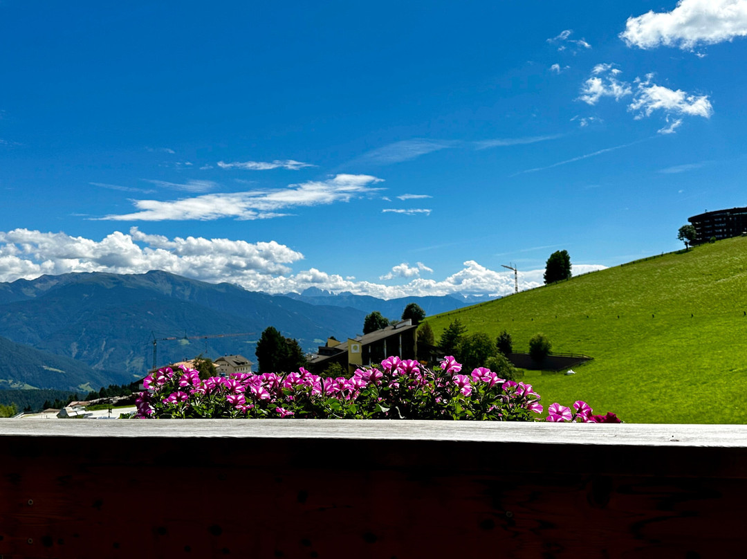 Hotel Schmiedhof主图