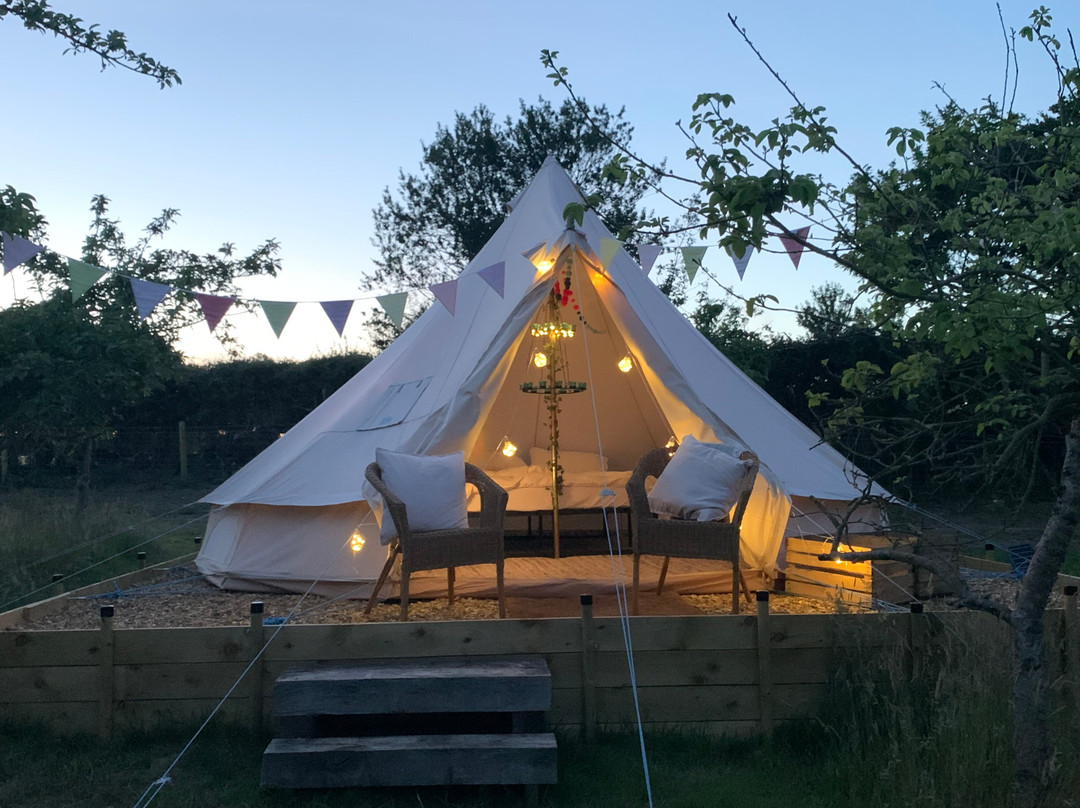 Bowhayes Farm - Camping & Glamping - Bell Tents - Cider Orchard