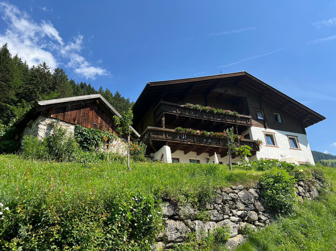 Berggasthof Platterhof主图