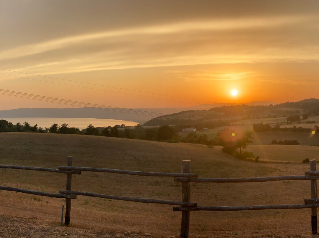 Bed & Breakfast Podere Ospedaletto主图